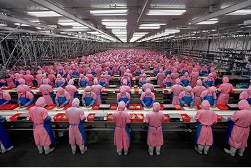China suppliers
