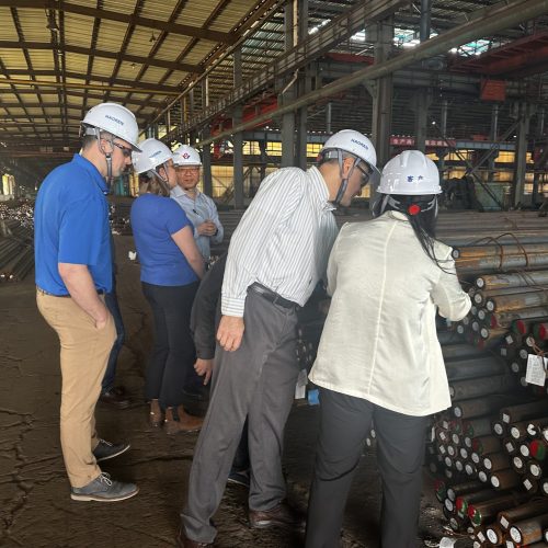 Visit at Wuxi Zhenda mill